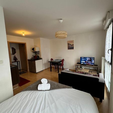 Le "Petit Colmarien" A 1Mn Du Centre Apartment Luaran gambar