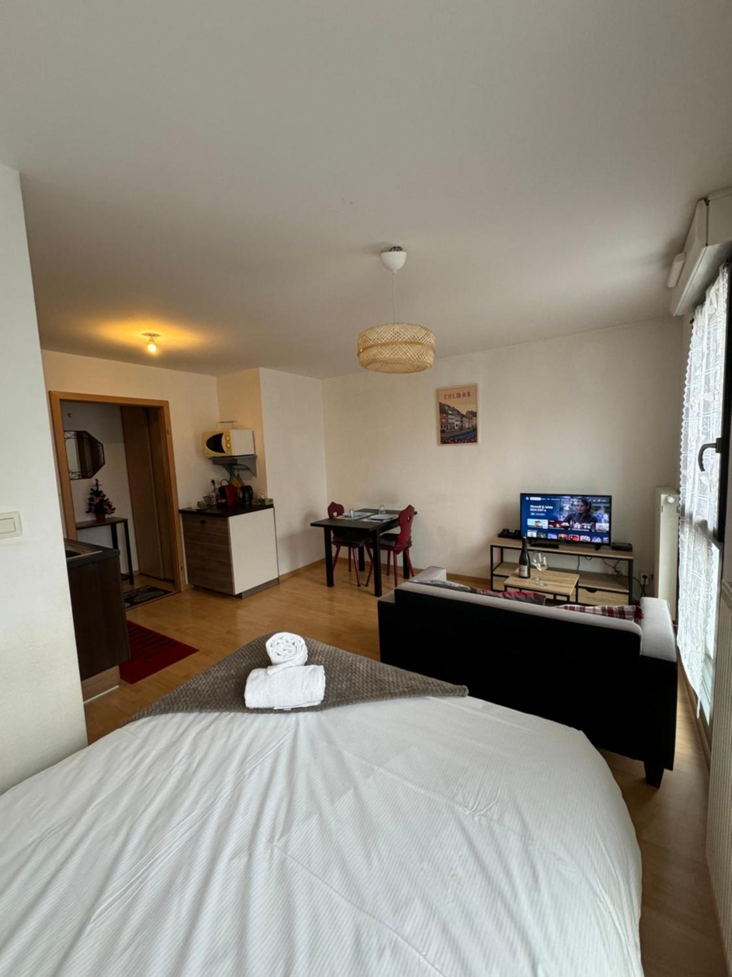 Le "Petit Colmarien" A 1Mn Du Centre Apartment Luaran gambar