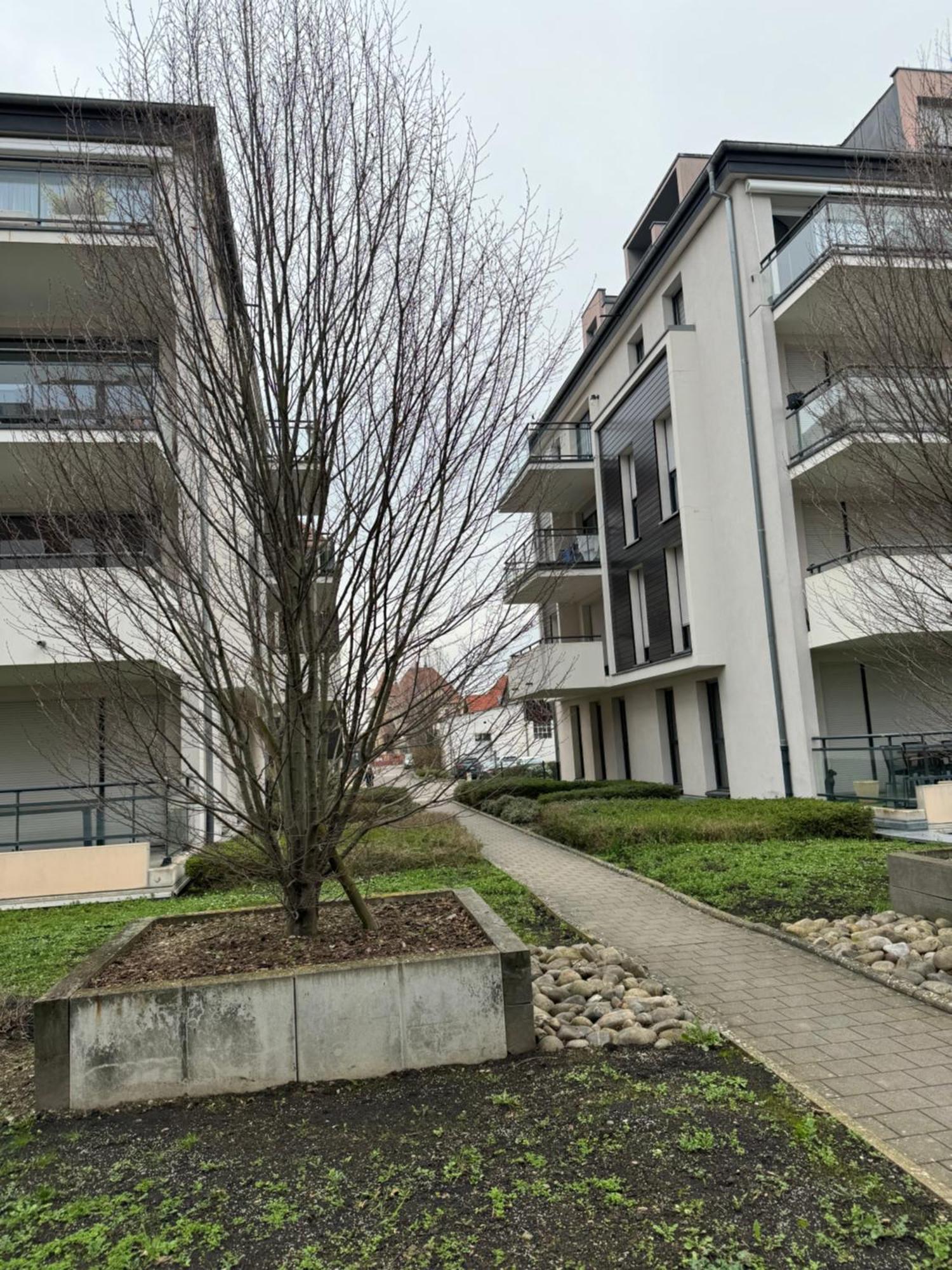 Le "Petit Colmarien" A 1Mn Du Centre Apartment Luaran gambar